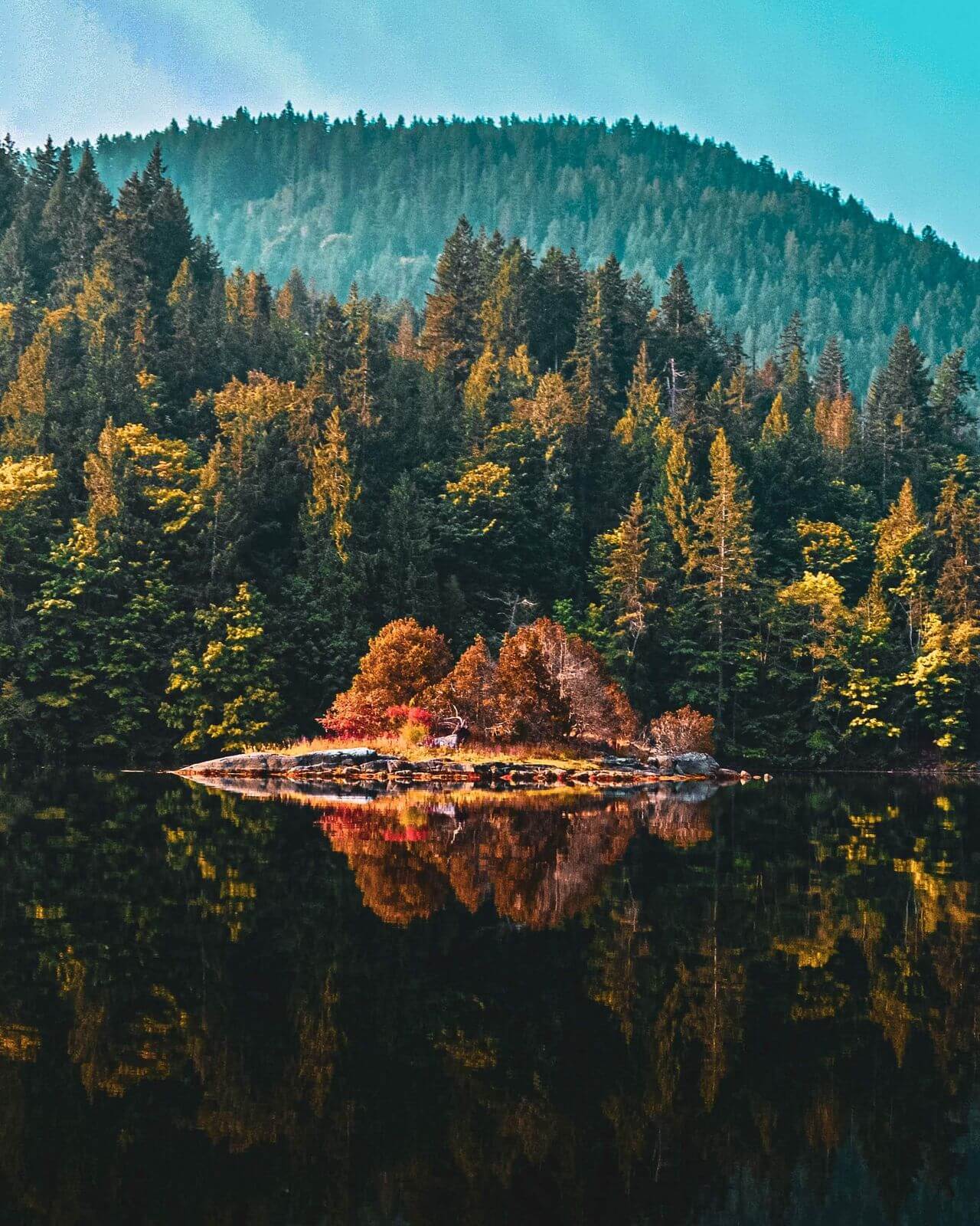 Mornings by the lake