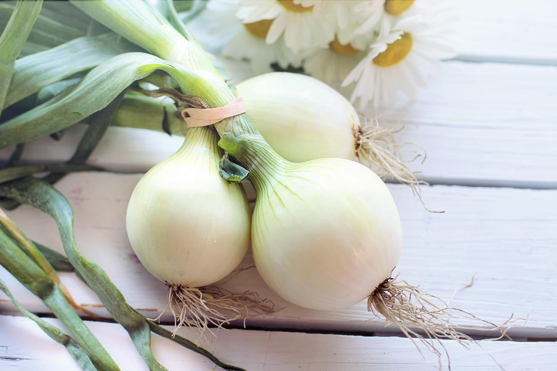 The Many Benefits of Onions: A Nutritional Powerhouse