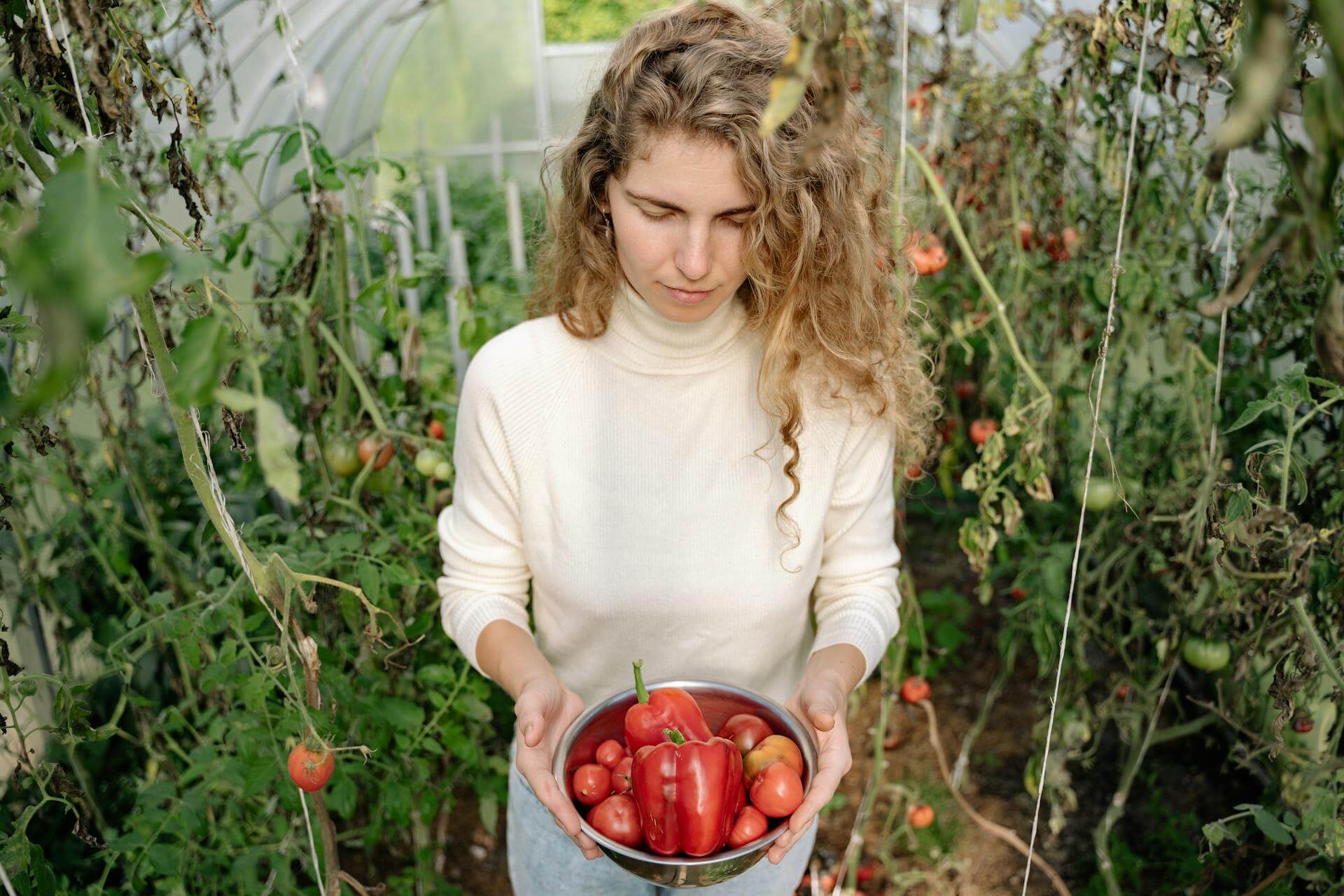 From Farm to Table: Our Vegetable Garden