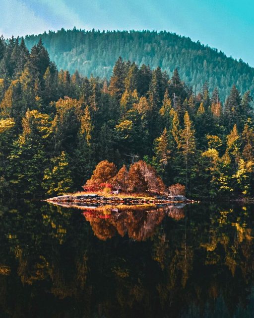 Mornings by the lake