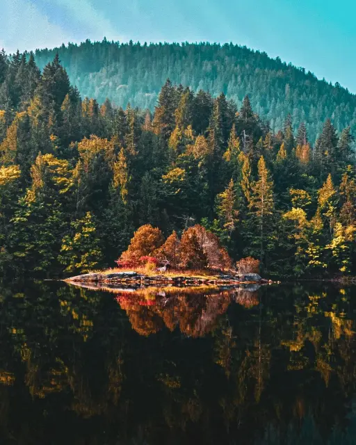 Mornings by the lake