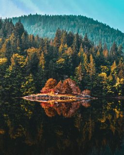 Mornings by the lake
